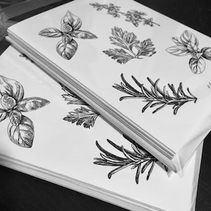 A2 Notecards HERB SET OF 6 - Set of 6 blank greeting cards with envelopes, Black & White bw, five herbs,Rosemary,Thyme,Basil,Oregano,Parsley
