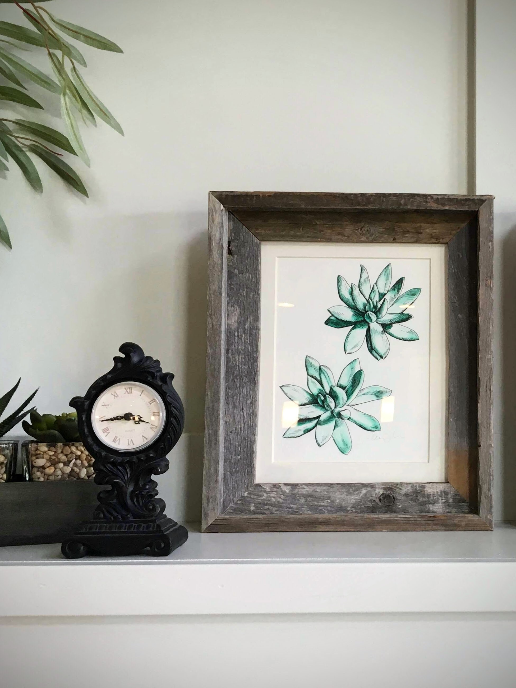 Pachyveria Succulent Plant Watercolor Painting Pen and Ink Botanical ...