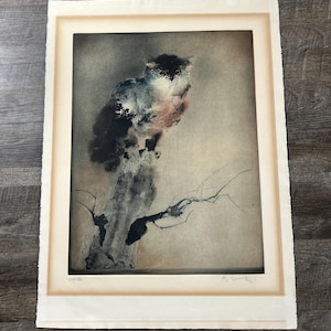 Puede incluir: Una impresión abstracta de un búho posado en una rama, en tonos de negro, azul y rosa. La obra de arte está enmarcada en un passe-partout crema y un marco blanco. La impresión está firmada y numerada.