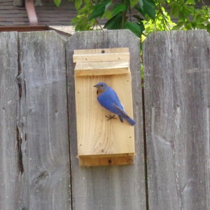 Bluebird House Nesting Box All Natural Western Red Cedar 100% Proudly Made In USA.