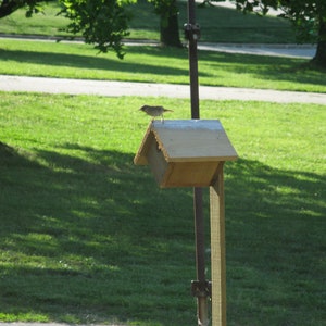 May include: A small wooden birdhouse with a brown roof sits on a metal pole in a grassy field. A small brown bird is perched on the edge of the roof.