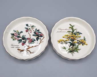 VTG 80s Villeroy & Boch Botanica 4.75" Tart Pans Set 2 Vilbofour Luxemburgo