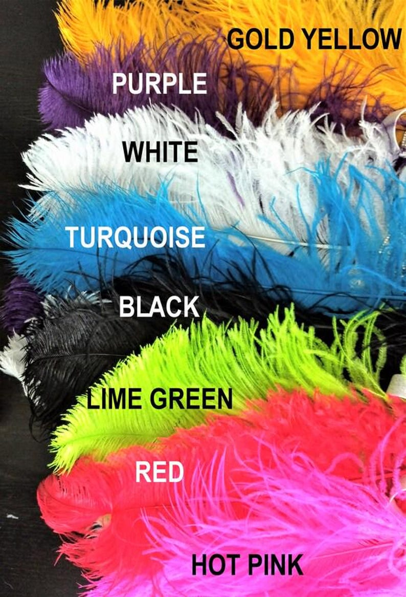 Carnival Large Samba Headdress Feather Piece Fantasy Fest Carnival ...