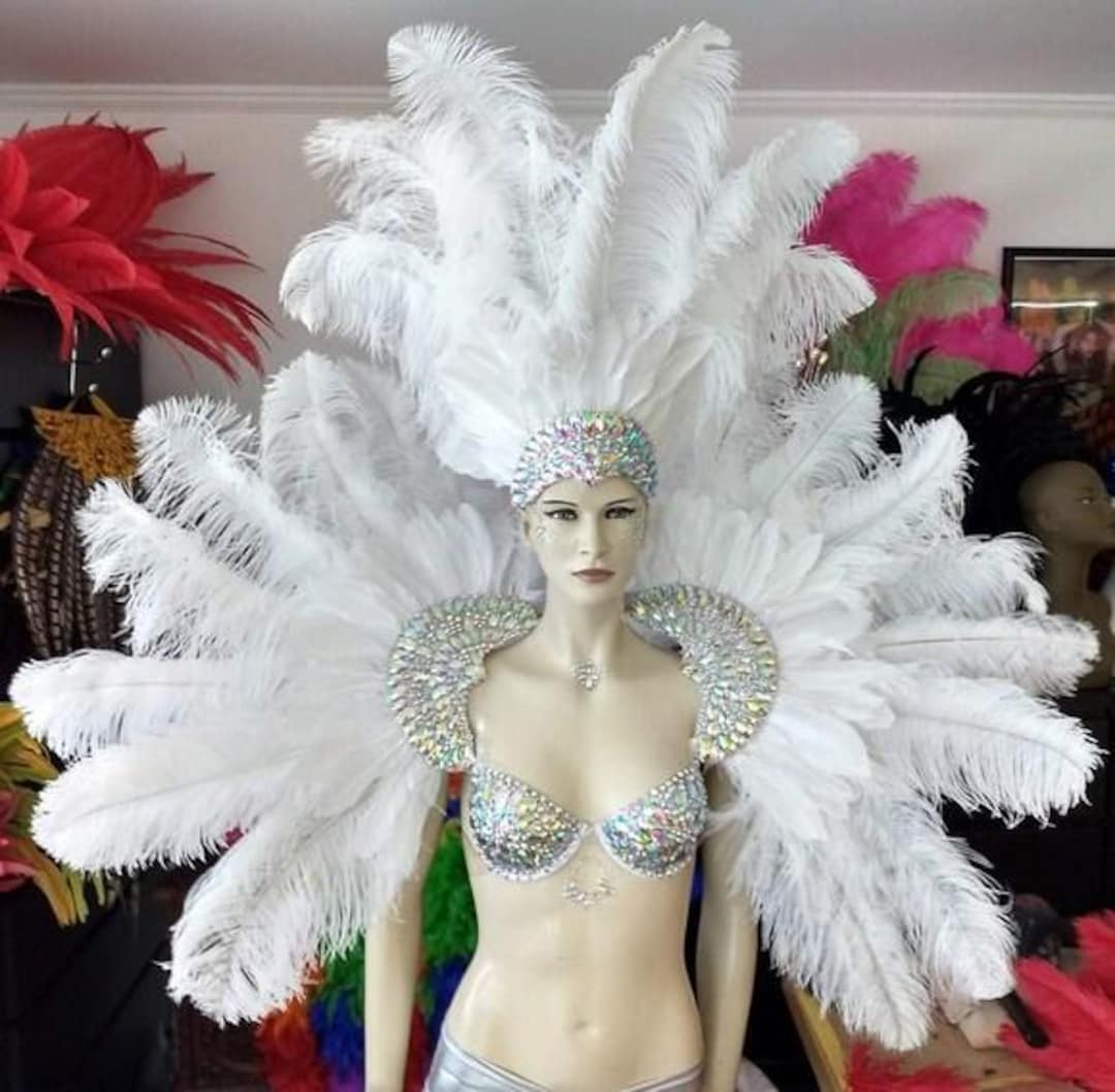 New Rihanna Carnival Costume Feathers Rhinestone Samba Costume
