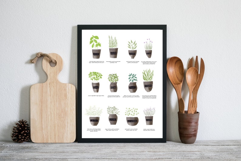 Herb Chart For Cooking