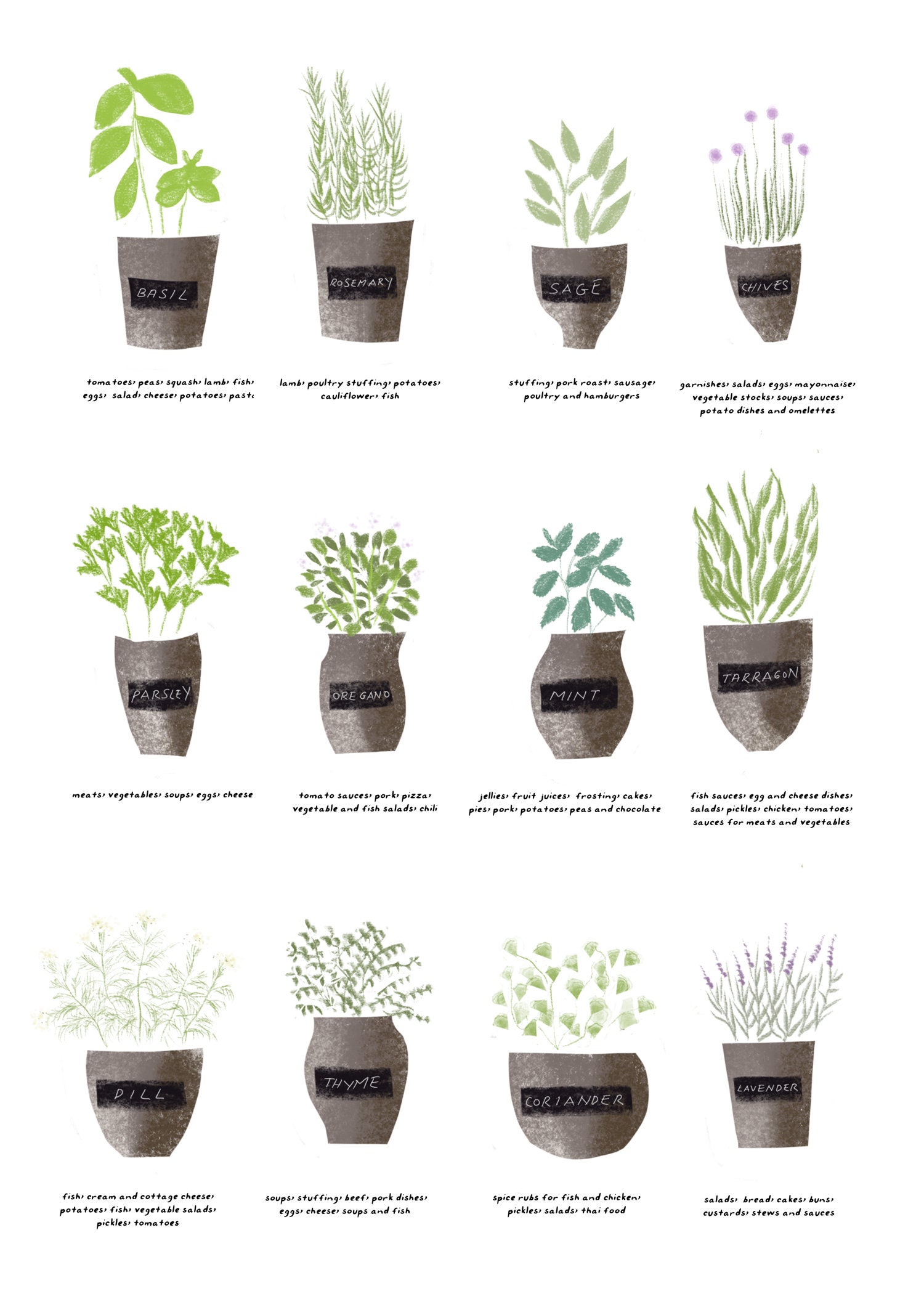 Herb Chart Poster