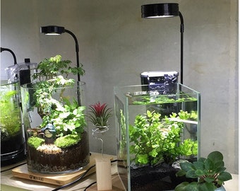 Aquarium Vollspektrum LED-Licht mit Bambusbrett, passt Nano Tank, Betta Aquarium, Wabi Kusa, Topfpflanze, Sukkulenten, Miniatur Landschaft