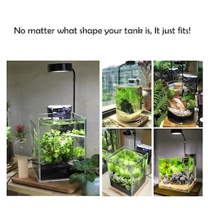 May include: A black LED aquarium light with a flexible neck, shown illuminating various glass fish tanks filled with aquatic plants, gravel, and rocks. The text "No matter what shape your tank is, It just fits!" is displayed above the images.