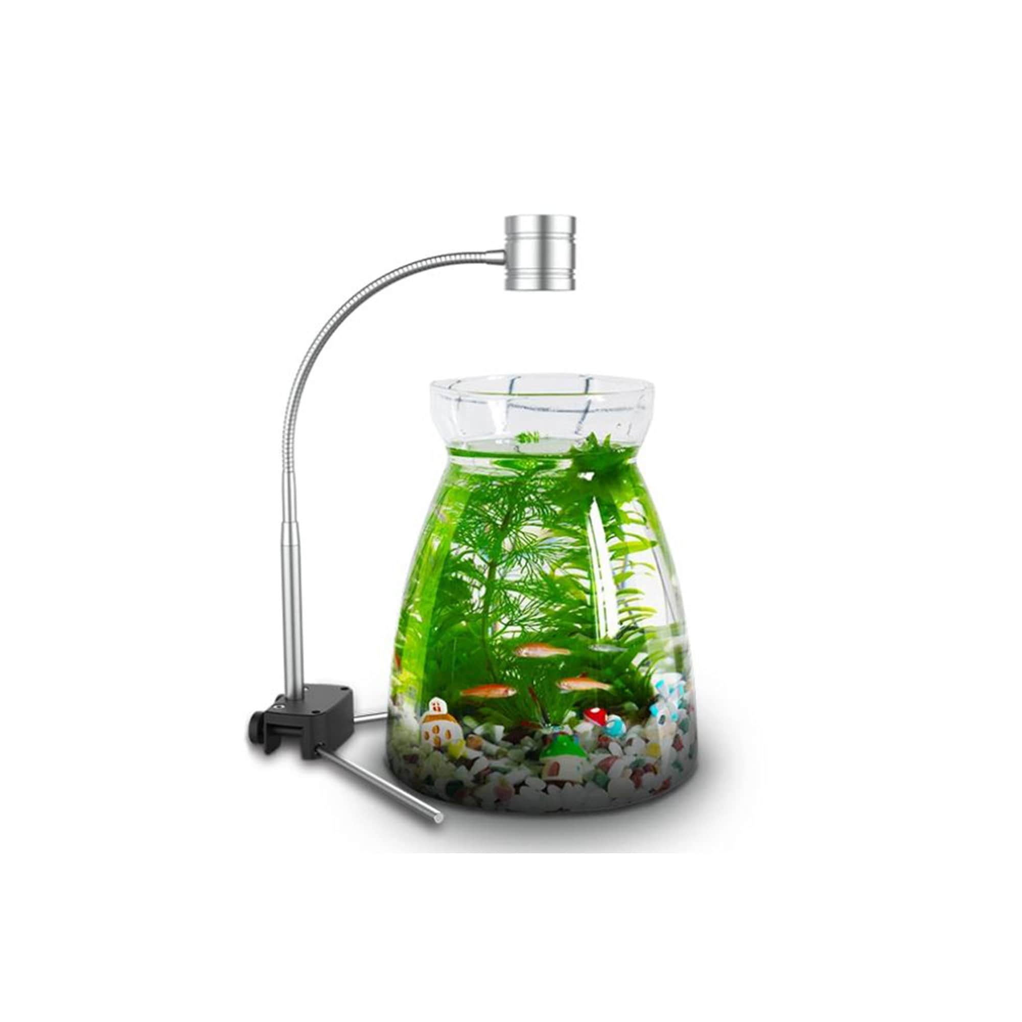 Self Cleaning Fish Aquarium 