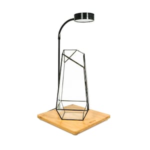 May include: A black metal geometric terrarium with a black adjustable grow light on a bamboo base.