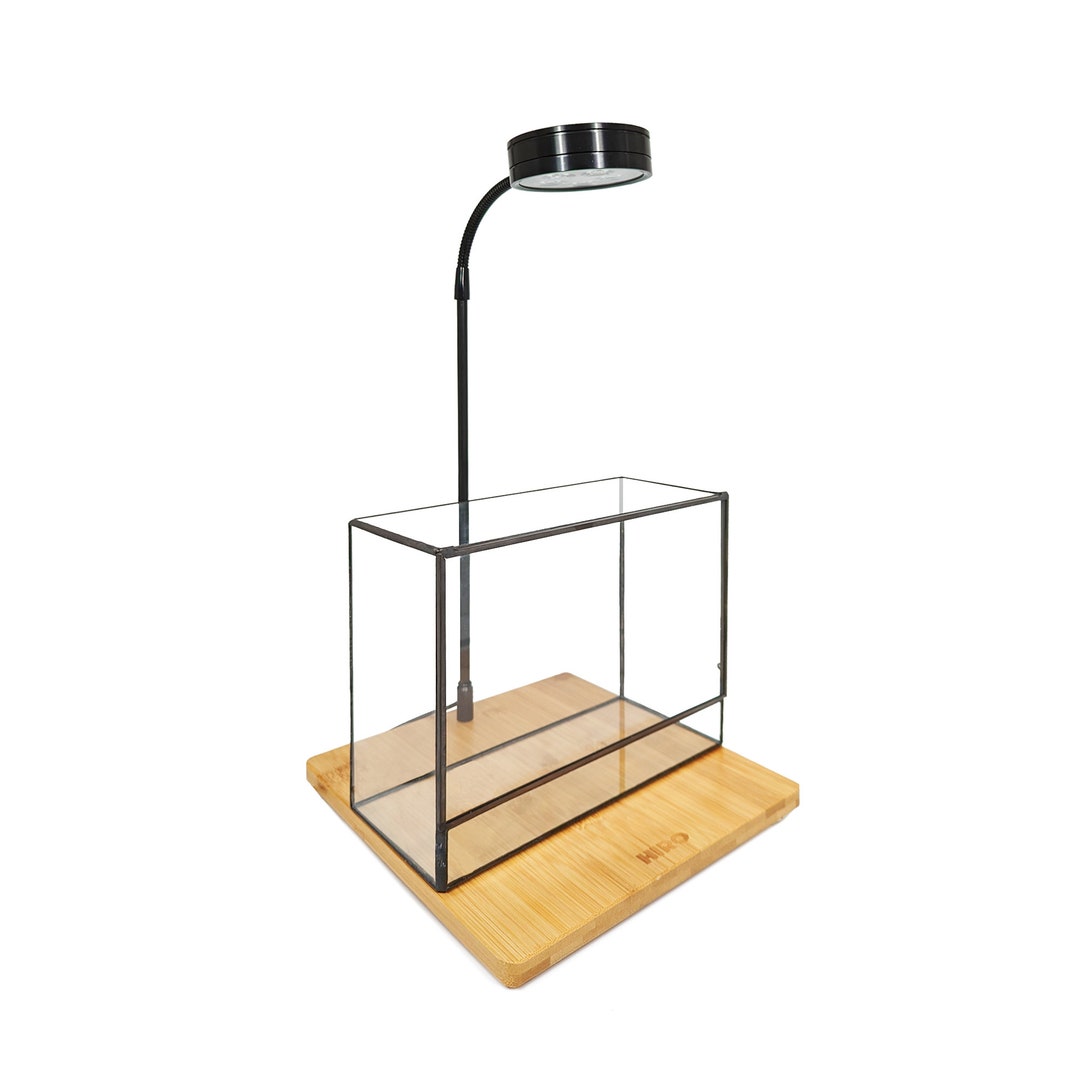 Small Plant Cuboid Glass Vessel Container for Succulent Moss Plant ...