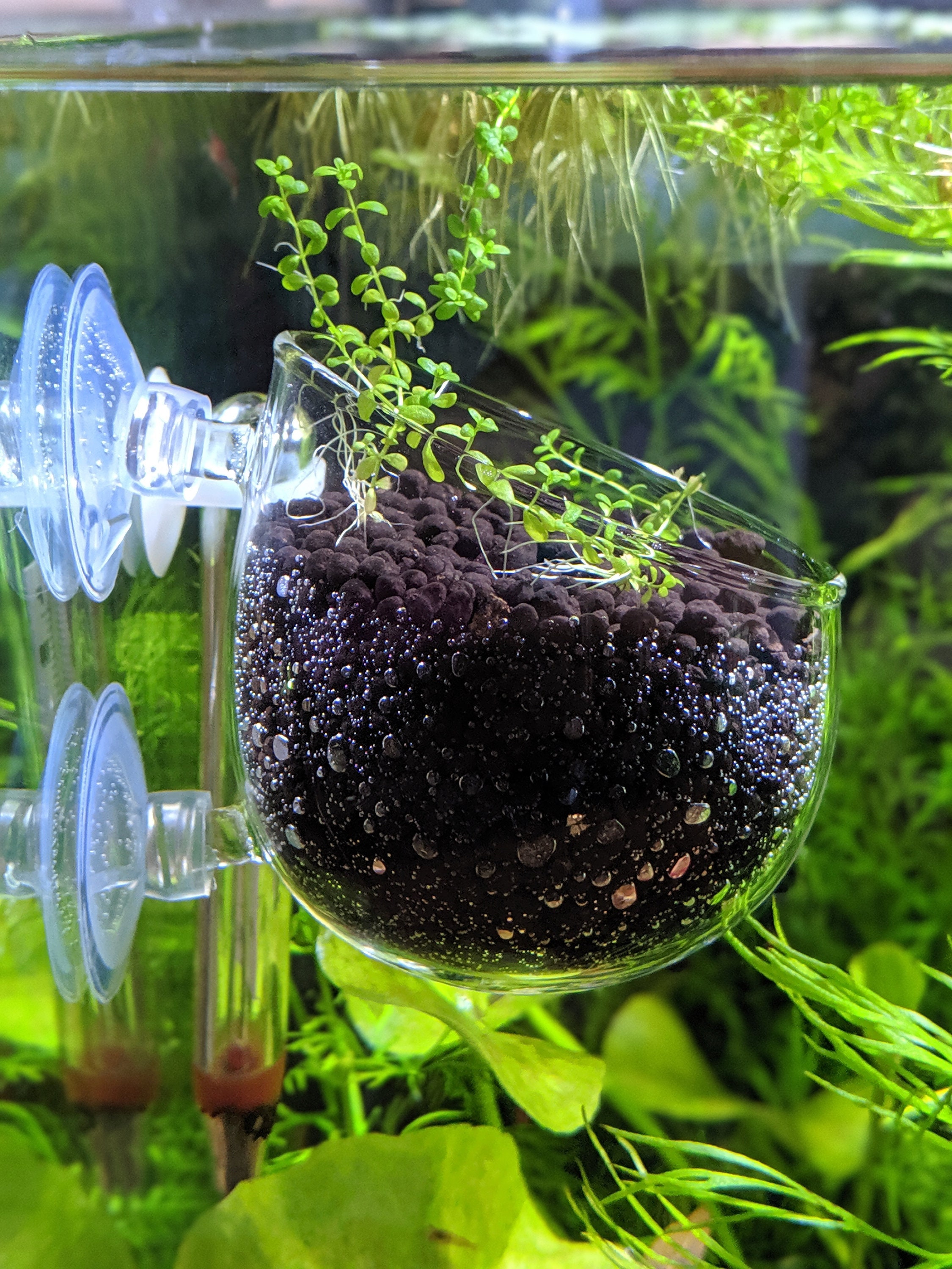 Aquarium 2025 plant pots