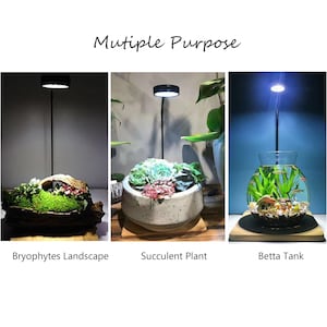May include: A black adjustable LED lamp with a circular light head, shown in three configurations: illuminating a bryophyte landscape, a succulent plant in a speckled pot, and a glass fish bowl with aquatic plants. Text reads Mutiple Purpose.