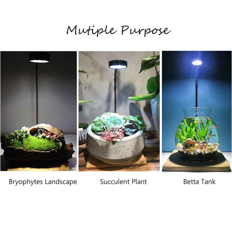 May include: A black adjustable LED lamp with a circular light head, shown in three configurations: illuminating a bryophyte landscape, a succulent plant in a speckled pot, and a glass fish bowl with aquatic plants. Text reads Mutiple Purpose.