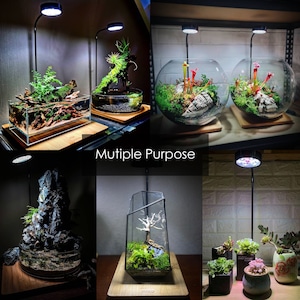 Aquarium Full Spectrum LED Light with Bamboo board, fits Nano Tank, Betta Fish Tank, Wabi Kusa, Potted Plant, Succulent, Miniature Landscape image 3
