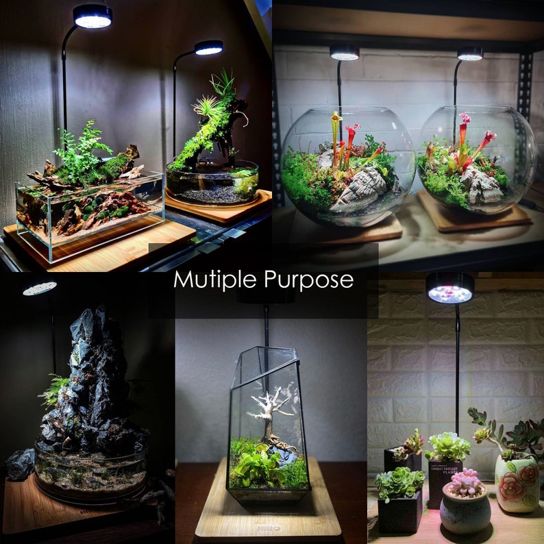 Aquarium Full Spectrum LED Light with Bamboo board, fits Nano Tank, Betta Fish Tank, Wabi Kusa, Potted Plant, Succulent, Miniature Landscape image 3