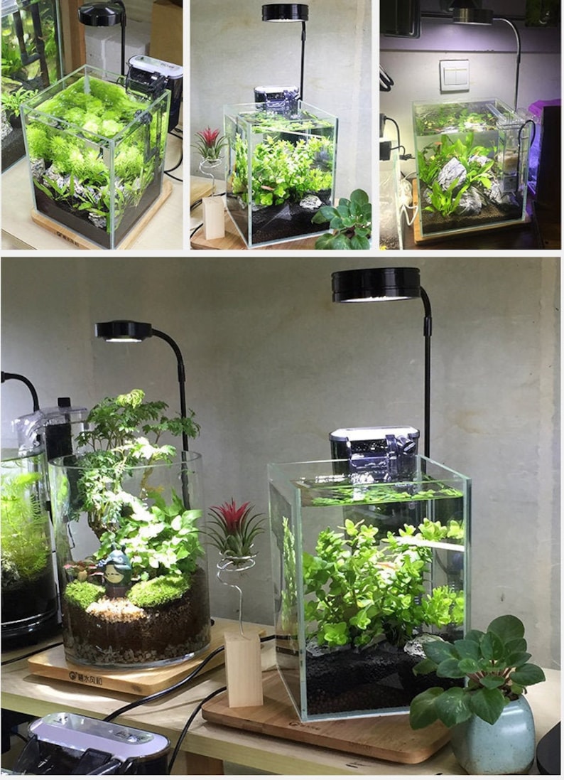 May include: A clear glass aquarium tank featuring a black hanging filter, a black LED lamp on a flexible arm, dark substrate, and green aquatic plants. The tank sits on a light-colored wooden base, showcasing a self-contained aquatic ecosystem.