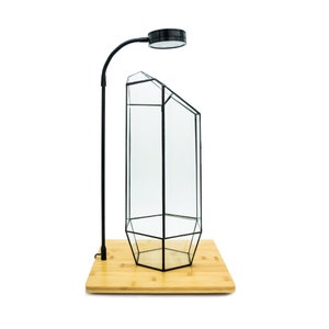 Indoor Plant Geometric  High Glass Vessel Container for Succulent Moss Plant Terrarium, 15.75 inch High