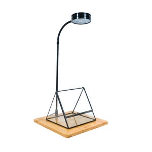 May include: Black metal plant stand with a glass terrarium and a black LED grow light. The stand has a wooden base.