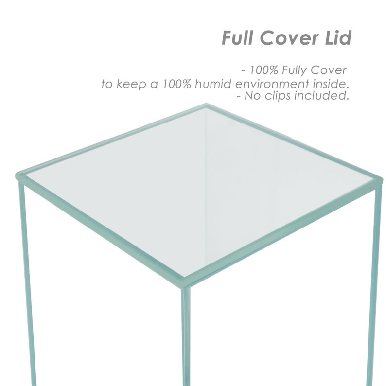 May include: A clear glass lid for a terrarium or display case. The lid is designed to fully cover the top of the case, creating a 100% humid environment inside. The lid does not include clips.