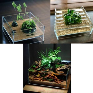 HIRO Aquatics Nano Shallow Rimless Tank, Low-iron Glass, for Wabikusa ...