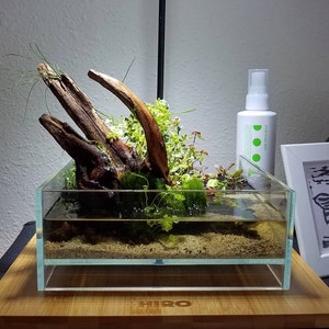 HIRO Aquatics Nano Shallow Rimless Tank, Low-iron Glass, for Wabikusa ...