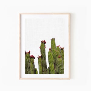 Blumen Kaktus Digitaldruck - Kaktus Wand Kunst Download - Boho Dekor - South Western - großer Kaktus Poster - druckbare Kakteen - Natur Kunst