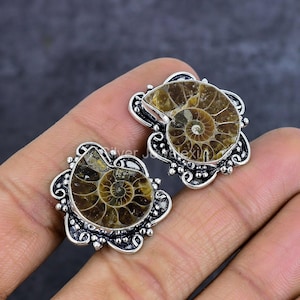 May include: A pair of silver earrings with a brown ammonite fossil design. The earrings have a detailed silver frame with a swirl pattern.