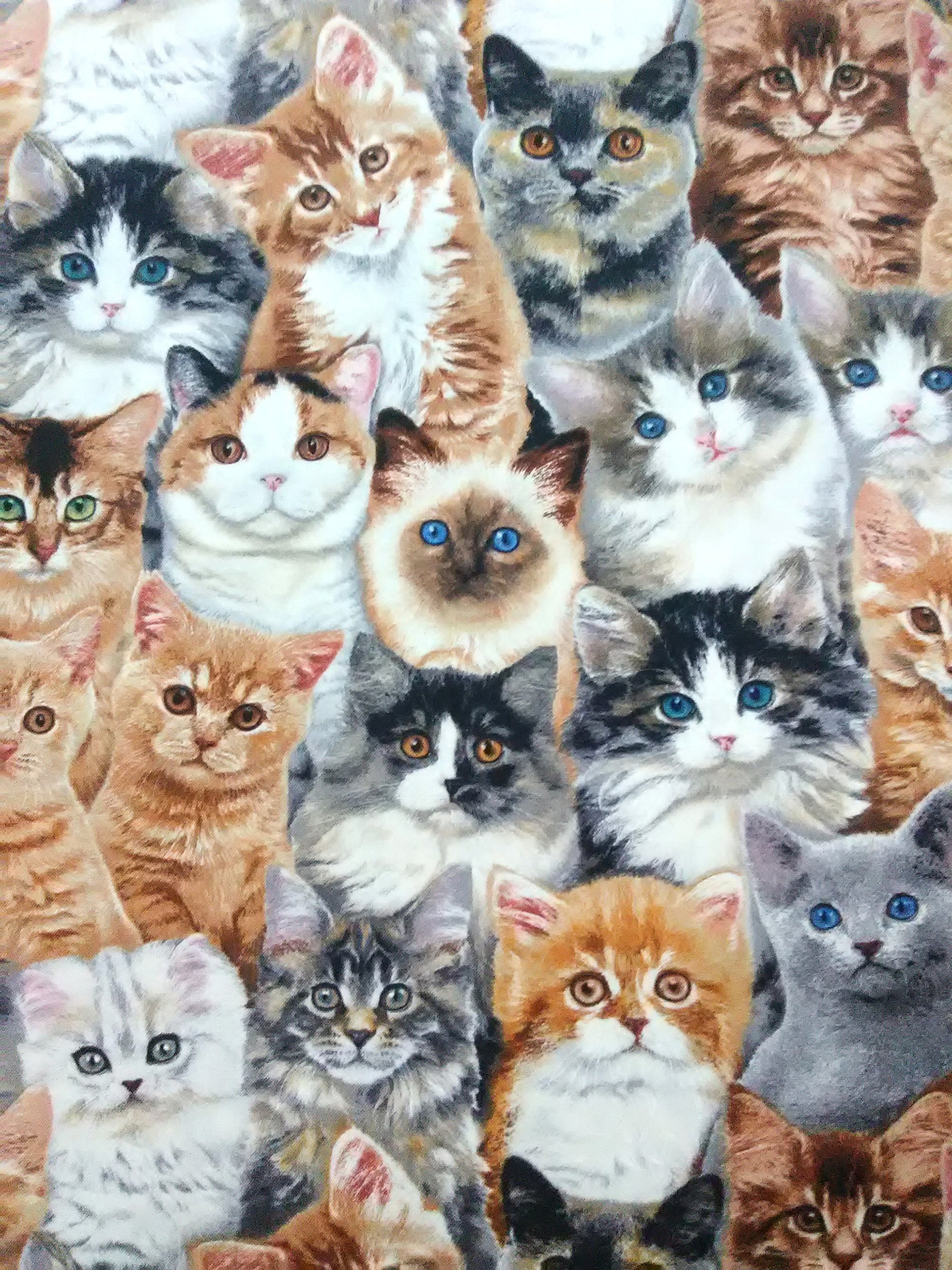 Cats Cotton Fabric Kitty Cat Animal Pet Novelty Fabric Fat Etsy