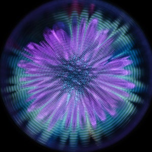 Faraday Waves - CYMATICS Photography Print
