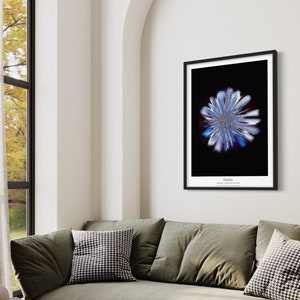 CYMATICS Photography Print - Frequency - 220Hz