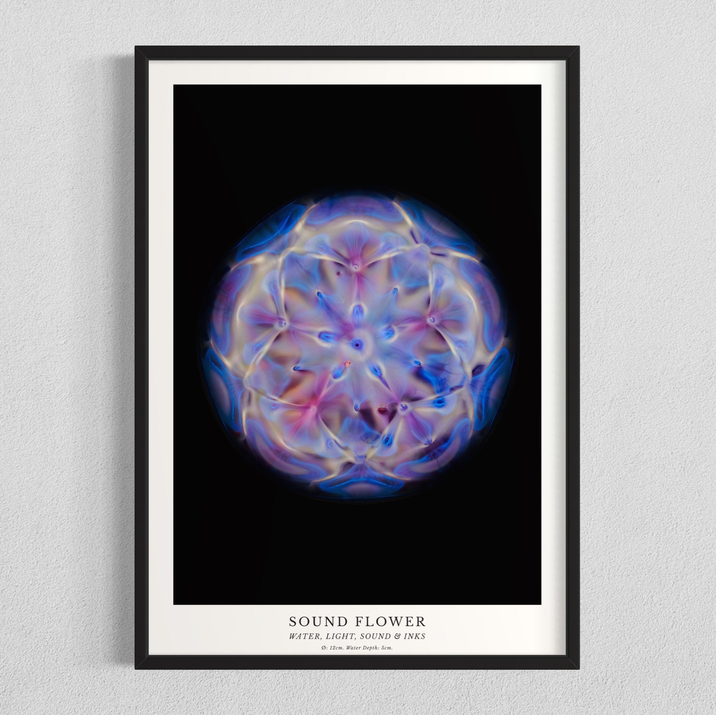 CYMATICS Photography Print - Sound Flower - Etsy