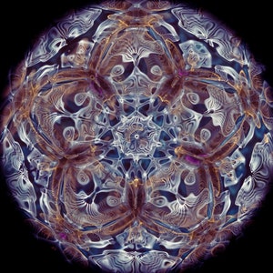 CYMATICS Photography Print - Frequency - 27Hz (Note A)