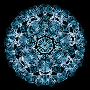 CYMATICS Print - Photography 29Hz Note A#