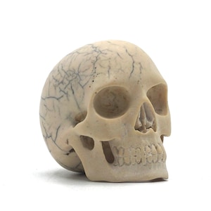 Hand made resin skull sculpture, skull art, skull homeware