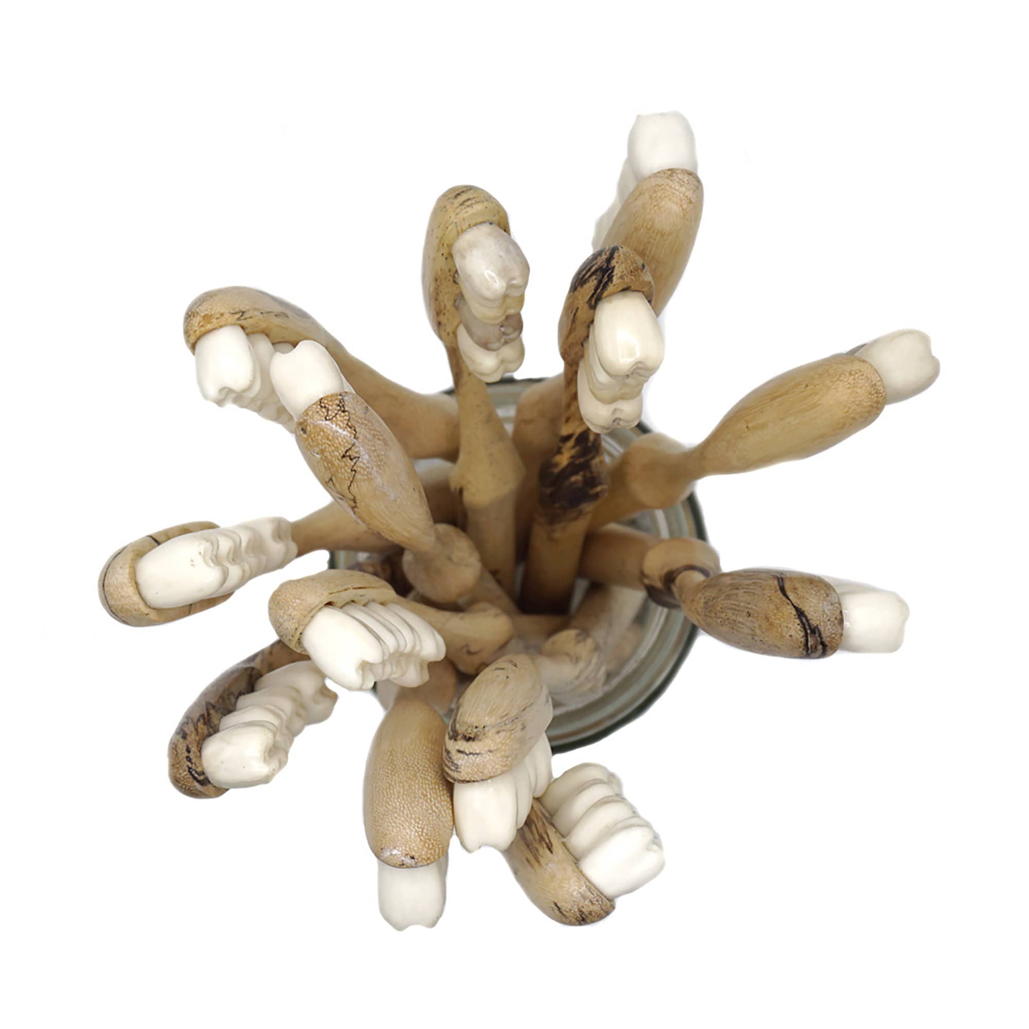 Hand Carved Wood Toothbrush With Bone Teeth, Skull Art, Skull Homeware ...
