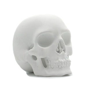 Hand made resin skull sculpture, skull art, skull homeware