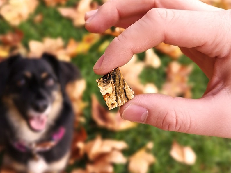 Fish Skins Healthy Dog Treats Fish Dog Treats Dog Gifts Etsy