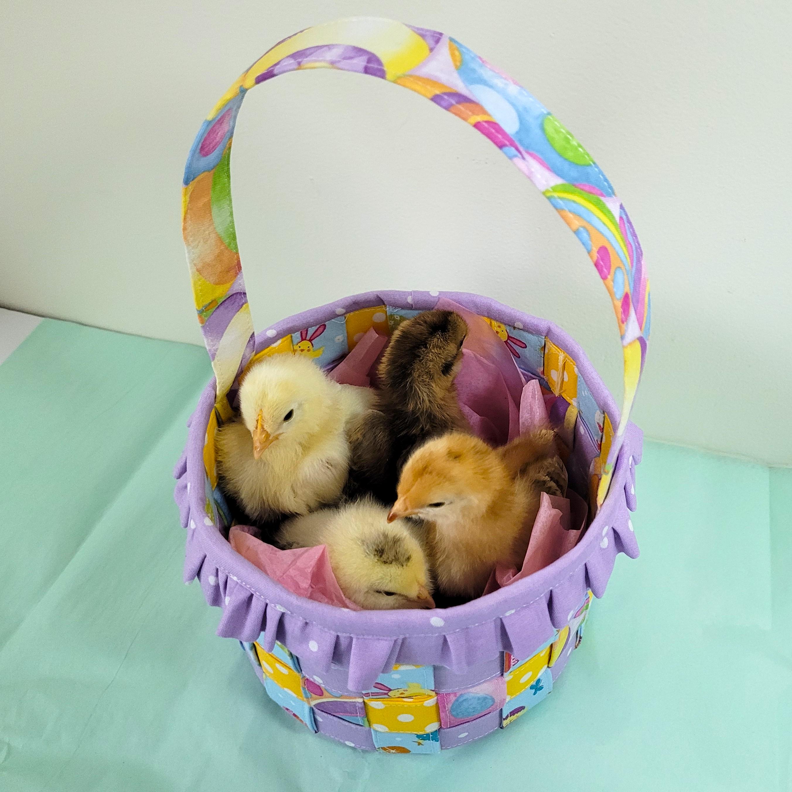 Woven Fabric Easter Basket Tutorial - Instant Digital Download PDF File ...