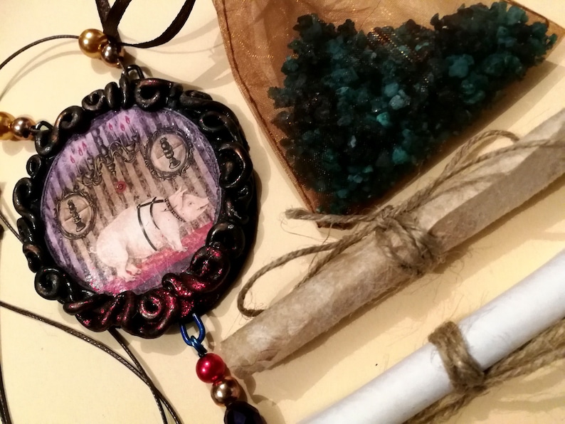 Good Luck Amulet, Pig Richness Symbol, Attraction Wealth Success Money Abbondance Rich, Magic Power Talisman Pendant