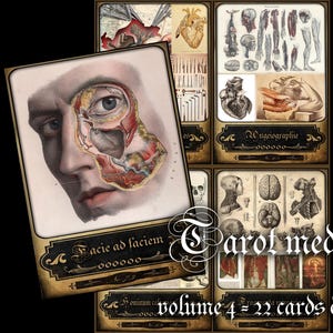 Jeu de cartes Oracle, médecine du tarot, anatomie médicale vintage antique, chirurgie antique, apothicaire sorcellerie édition limitée