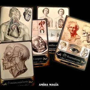 Medicina dei tarocchi, mazzo di carte dell'oracolo, medicina antica, anatomia vintage, chirurgia antica, stregoneria da farmacia, edizione limitata