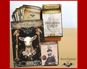Tarot Cards Deck Limited Edition, Pathology Oracle Minor Arcana, Vintage Medicine Medical Collage, Antique Anatomy Body