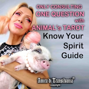Tarot-Beratung, Tiere Geistführer Seelenverwandte Lesen, Cartomancy Wahrsagerin, Lesen Psychic Witch Prophezeiungen