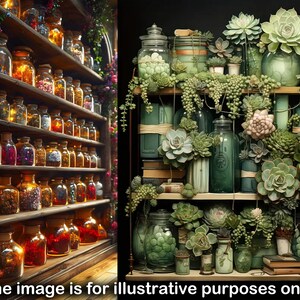 Puede incluir: Un estante de madera lleno de frascos de vidrio que contienen varias hierbas, especias y otros ingredientes. El estante est&aacute; decorado con una variedad de suculentas y otras plantas. La imagen es solo para fines ilustrativos.