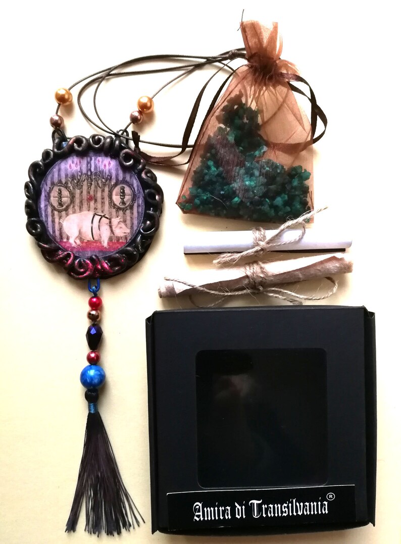 Good Luck Amulet, Pig Richness Symbol, Attraction Wealth Success Money Abbondance Rich, Magic Power Talisman Pendant