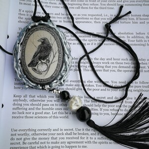 Black Raven, Germanic Folklore Witch Hunt, Antique Book Witchecraft Occult Grimoire, Secular Manuscript Magic Rituals