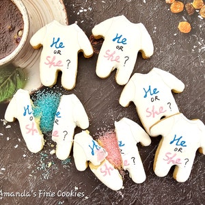 Hand-made He or She? Gender Revealing Icing Sugar Cookies Baby Shower Favours Gifts Presents