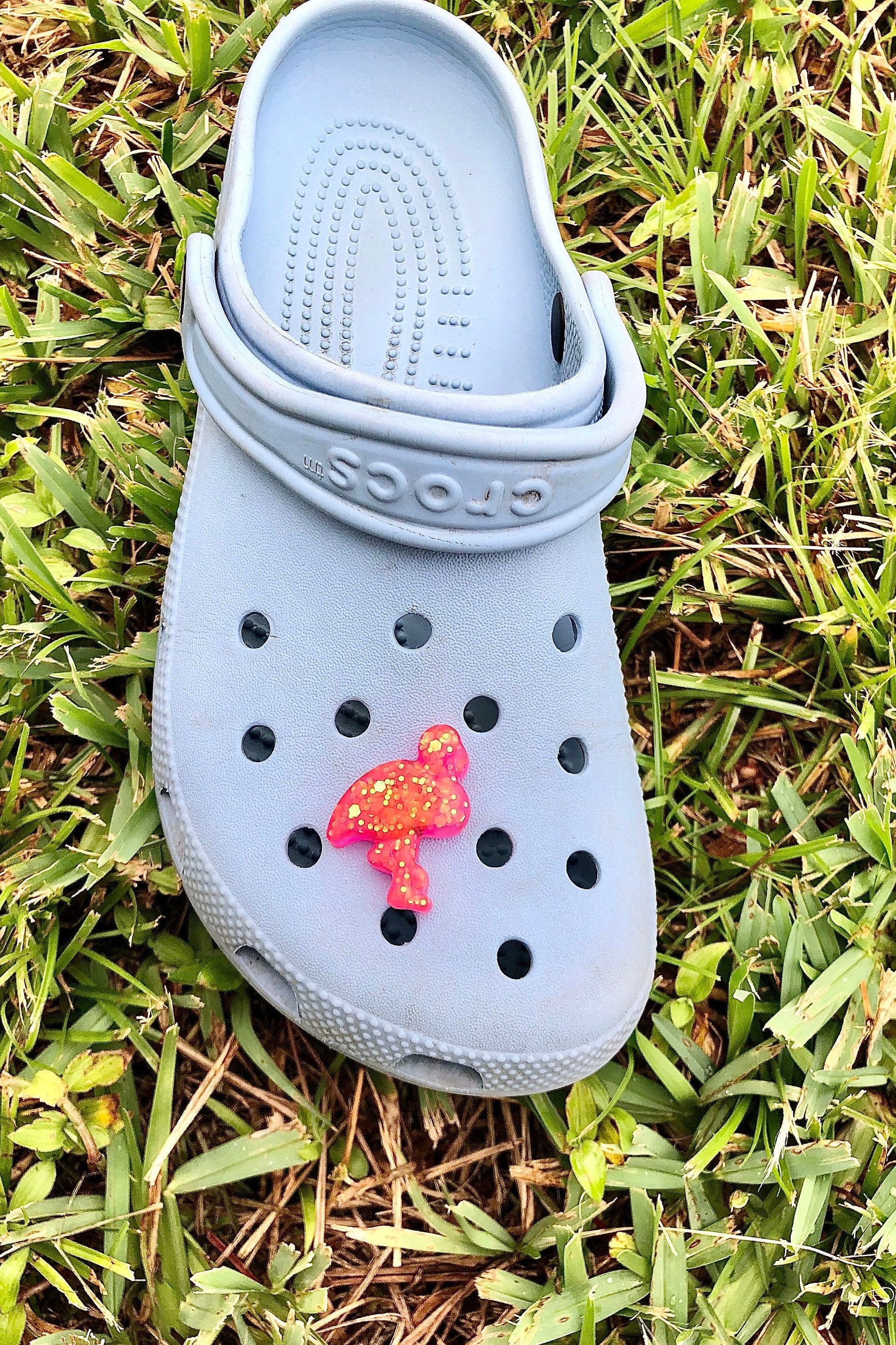 Flamingo Croc Charm