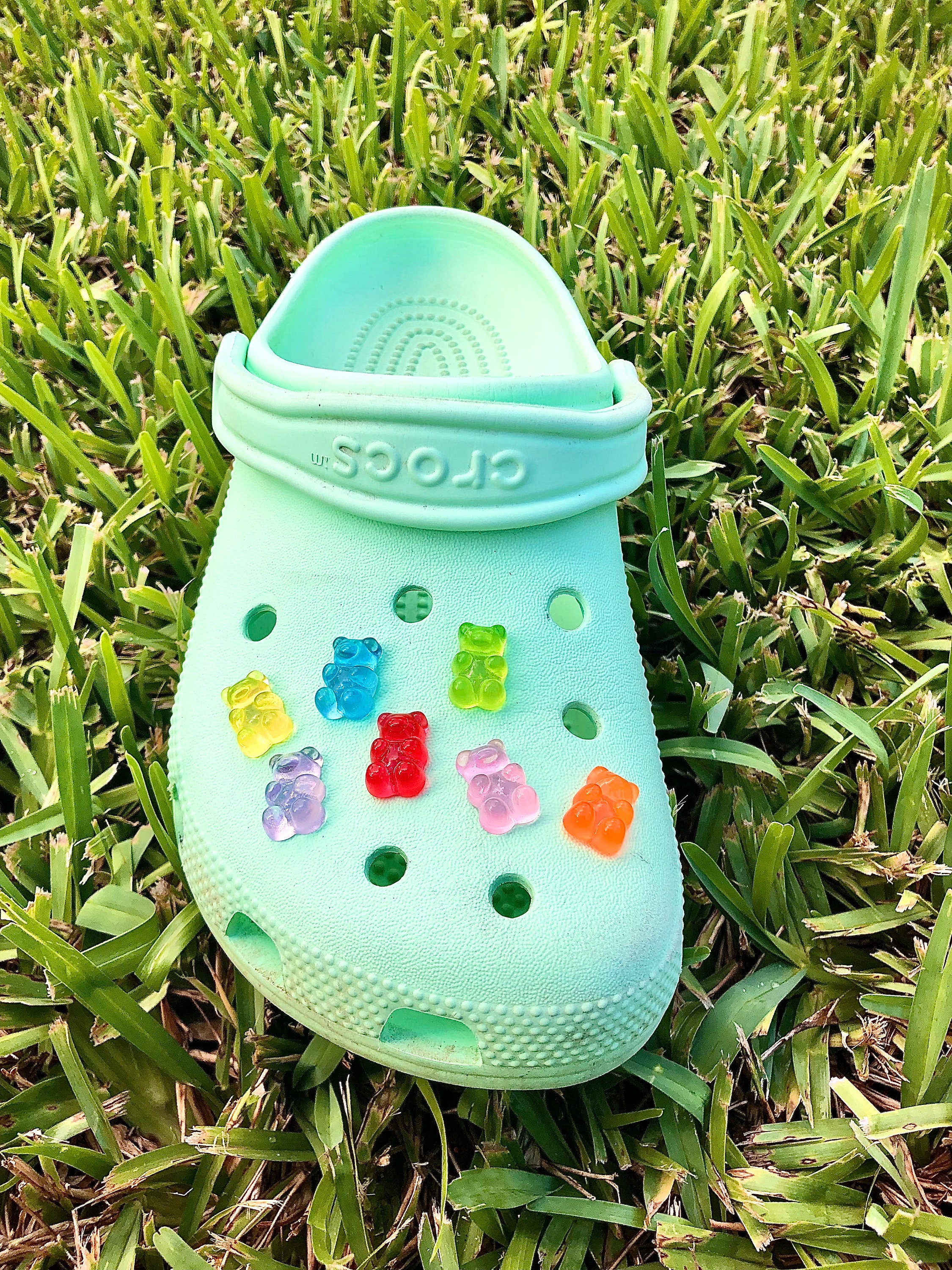 croc accessories